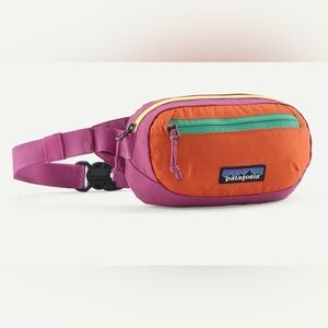 Patagonia Mini Hip Pack